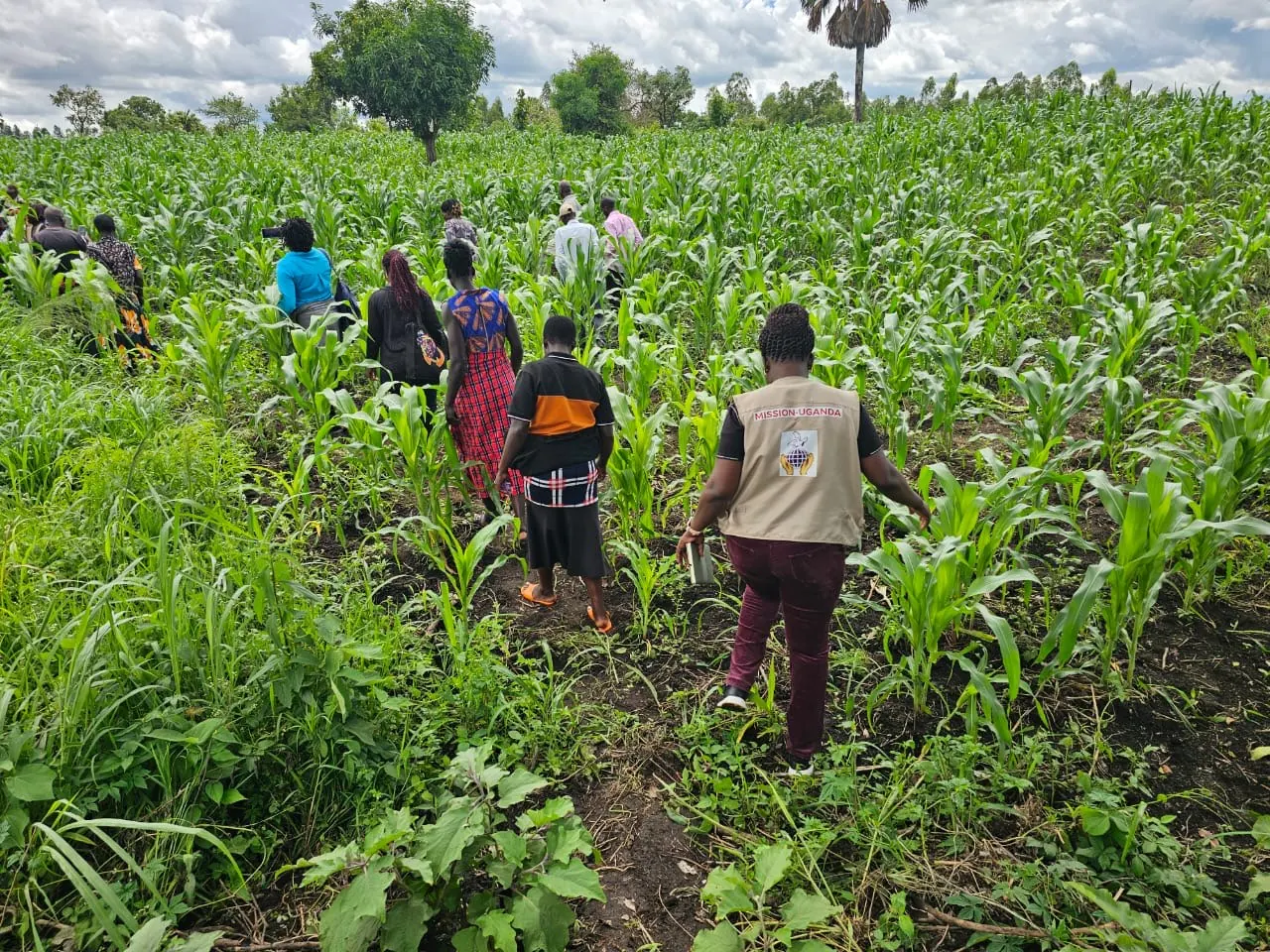 Mission Uganda staff and community members walking through a maize garden
